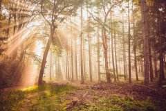 不仅仅是一场技术的展示