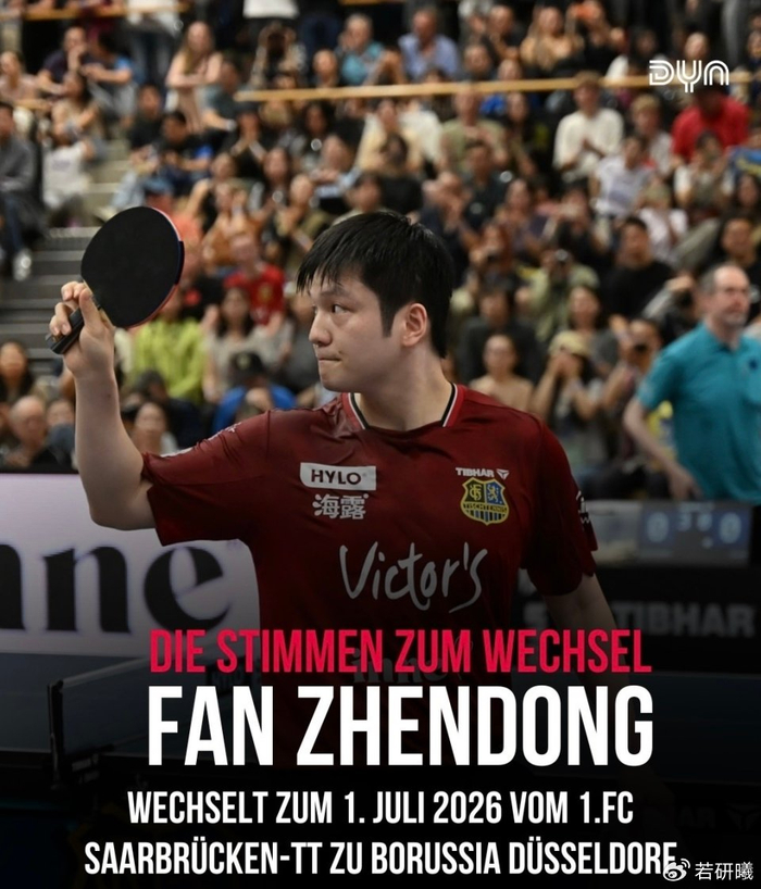 樊振东加盟德甲豪门杜塞尔多夫 俱乐部主席揭秘